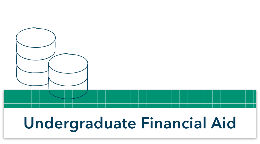 Undergraduate financial aid