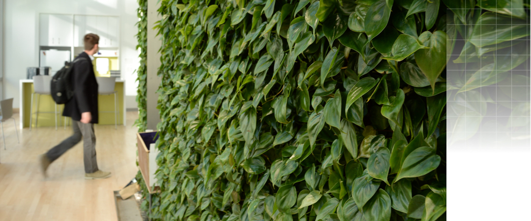 view of a plant wall in the science and engineering hall