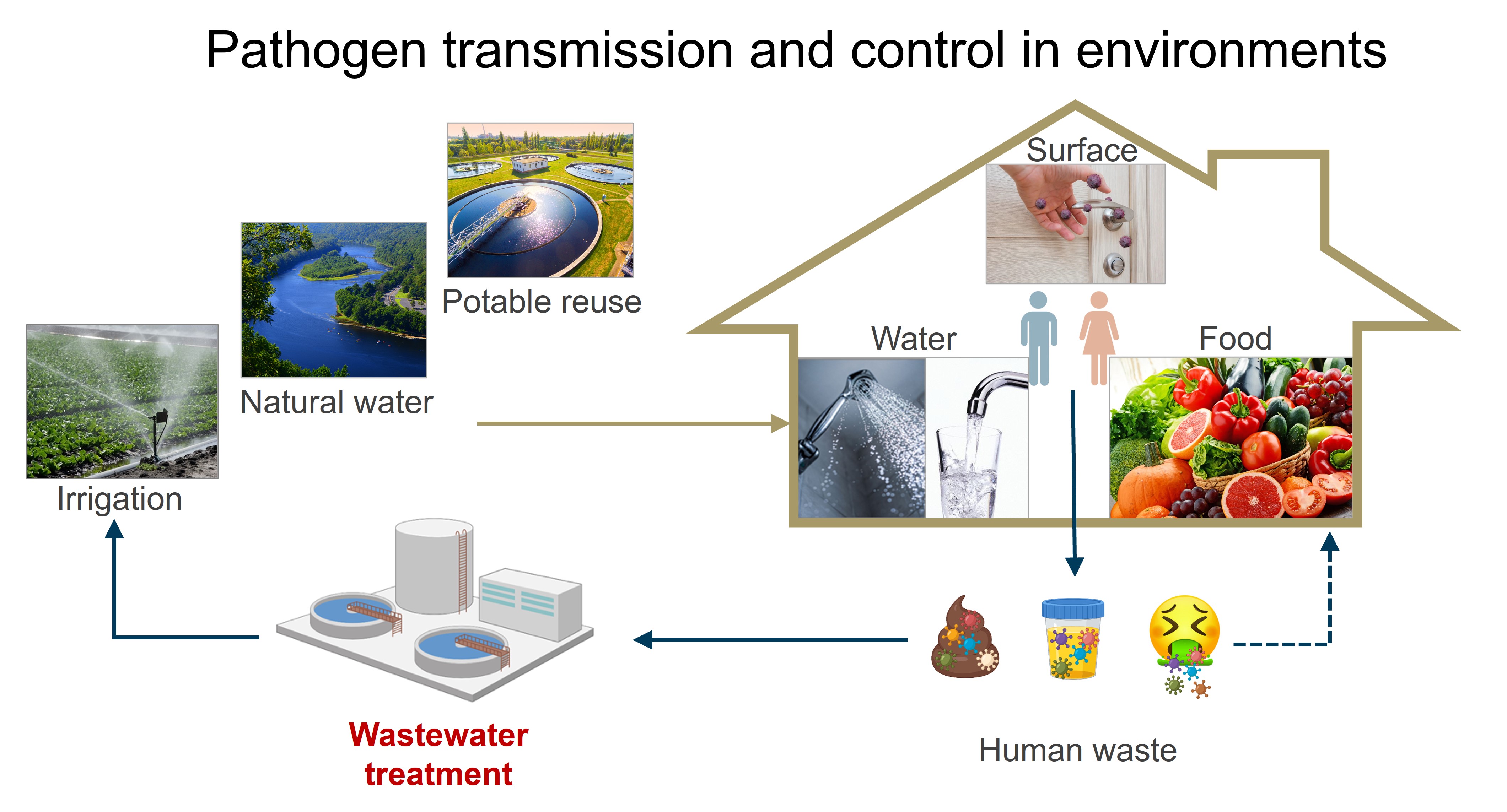 Demonstration of pathogen transmission and control environments