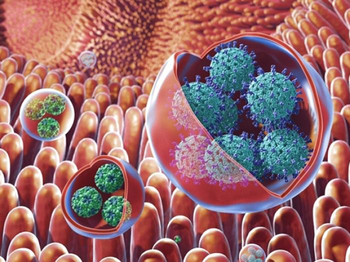 drawing of viruses