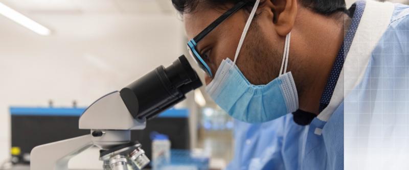 person looking into a microscope