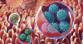 Image of vesicle-cloaked virus